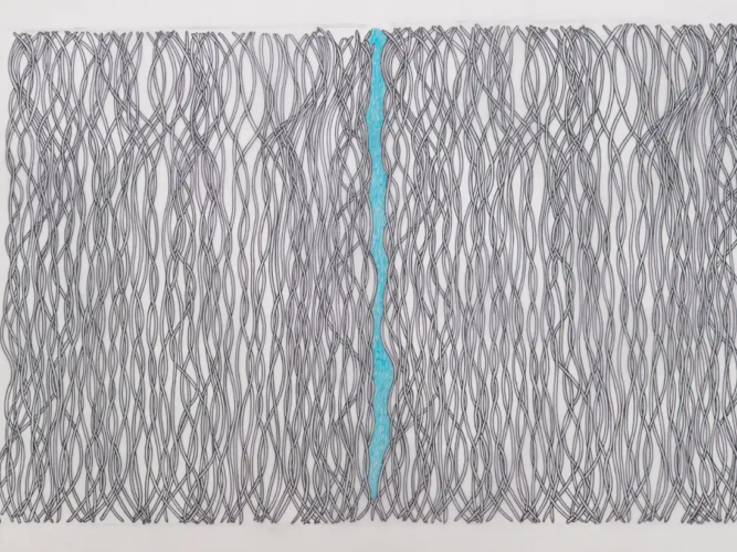 Martha Artaza - Obra sin Título Microfibras sobre papel vegetal 45 x 65 cm 2026