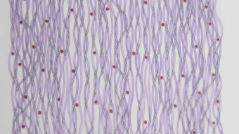Martha Artaza - Obra sin titulo 50 x 35 cm - 2025